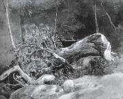 The Fallen Branch,Fontainebleau, Achille-Etna Michallon